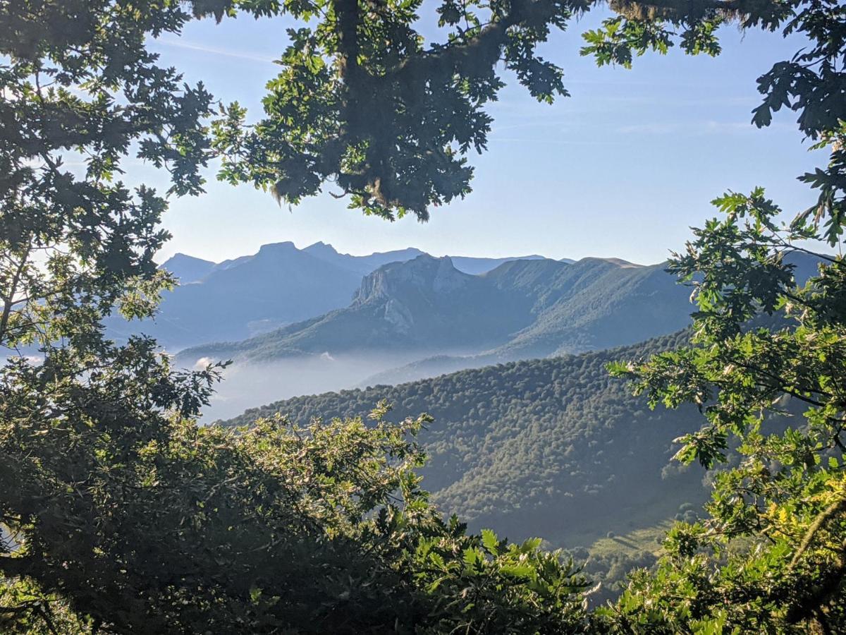 Olmares Picos De Europa - 4 Personas Lomeña
